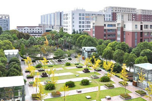 �⻪����2020���ҵ��¼ȡ�챨