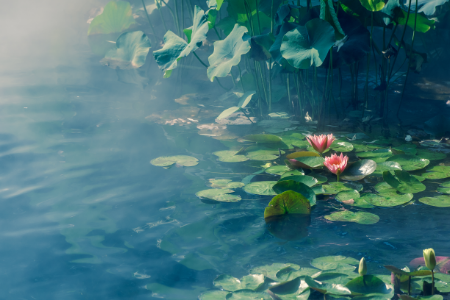 艺术留学择校干货:美国环境设计专业院校排名