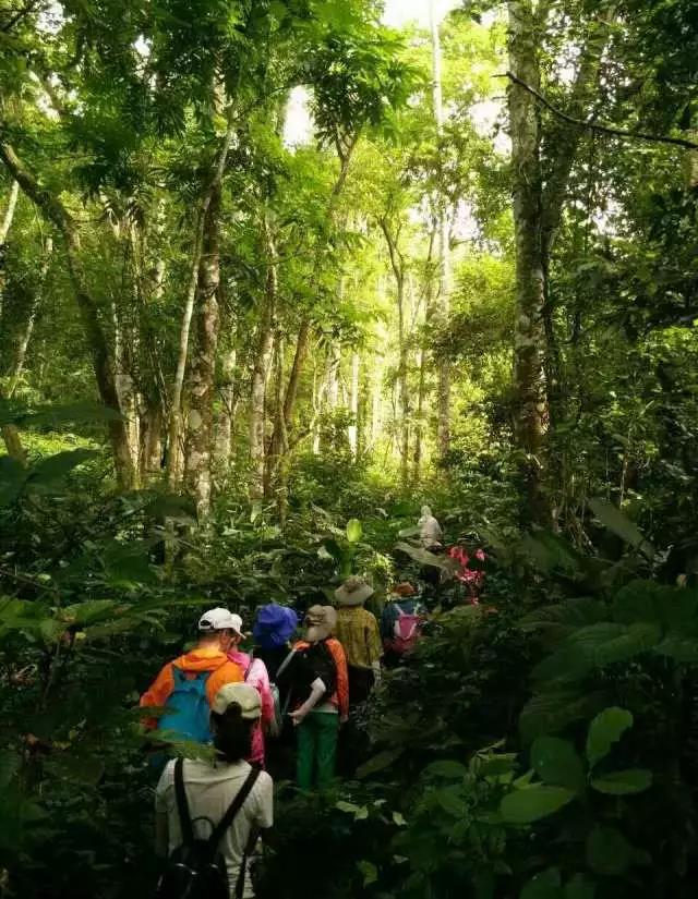 2018年乐宁教育国内冬令营活动方案(含报名信