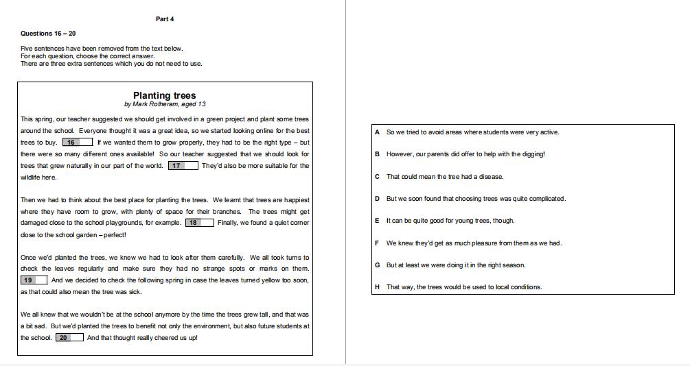PET考试阅读题目解析