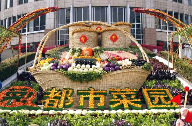 中国121军事夏令营外出游玩活动方案-上海育路