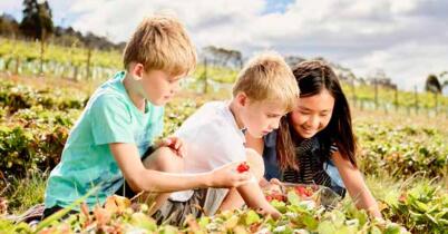 2017年澳大利亚英语戏剧游学夏令营招生简章