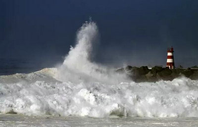 上海燎原国际高中学生文章分享:敬畏自然-上海燎原实验学校