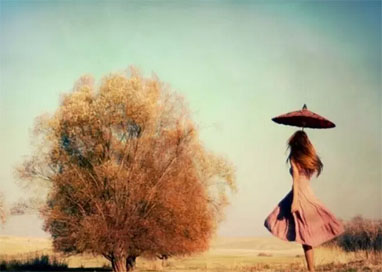 美国人目前最希望拥有的素质是什么?-美国梦沃