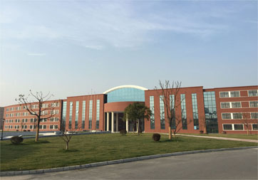 小编带你看中加枫华国际学校-上海中小学教育