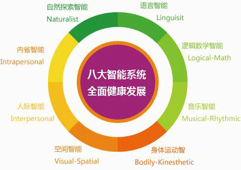 中加枫华国际学校